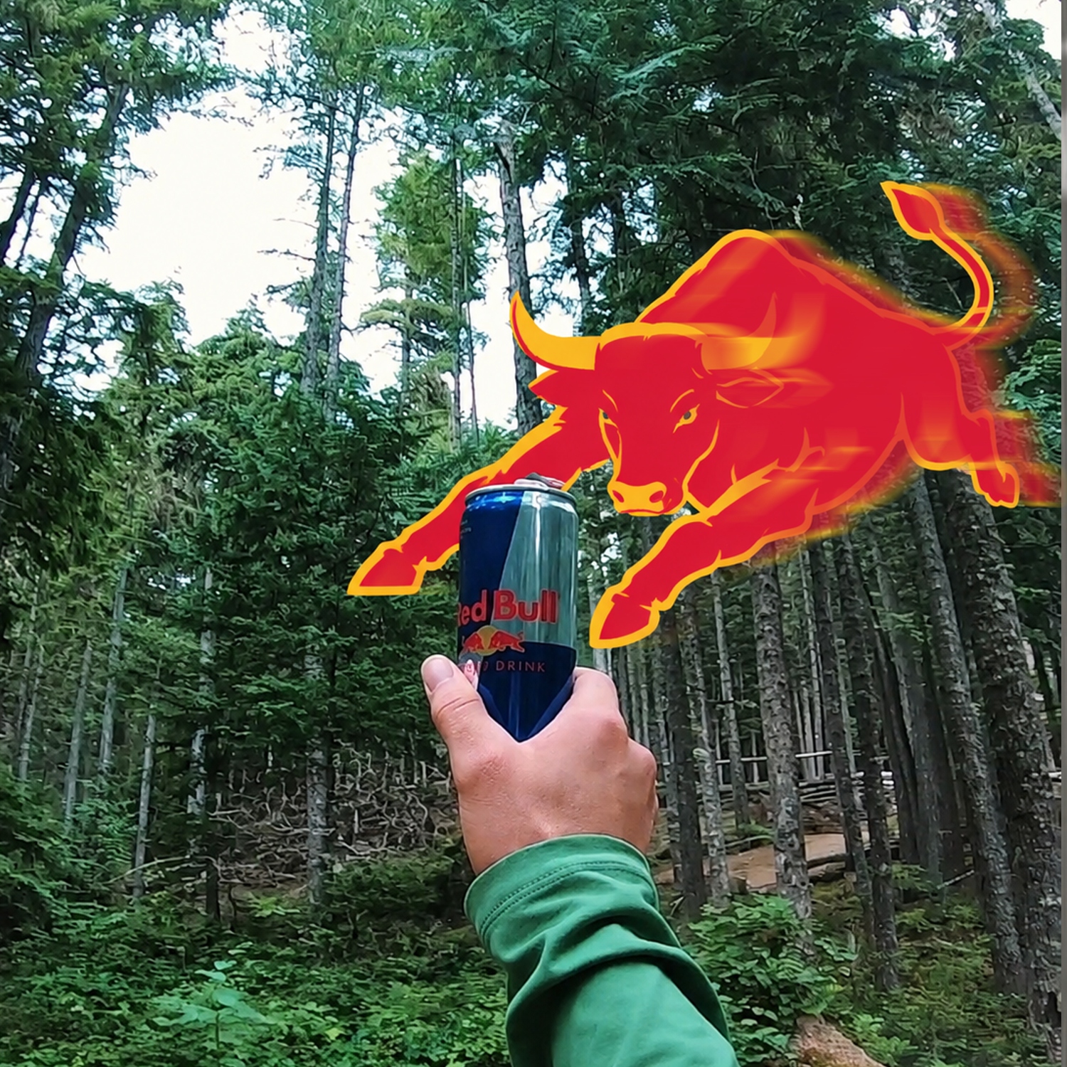 Hand holding a Red Bull can in the forest with the flaming bull leaping out of it